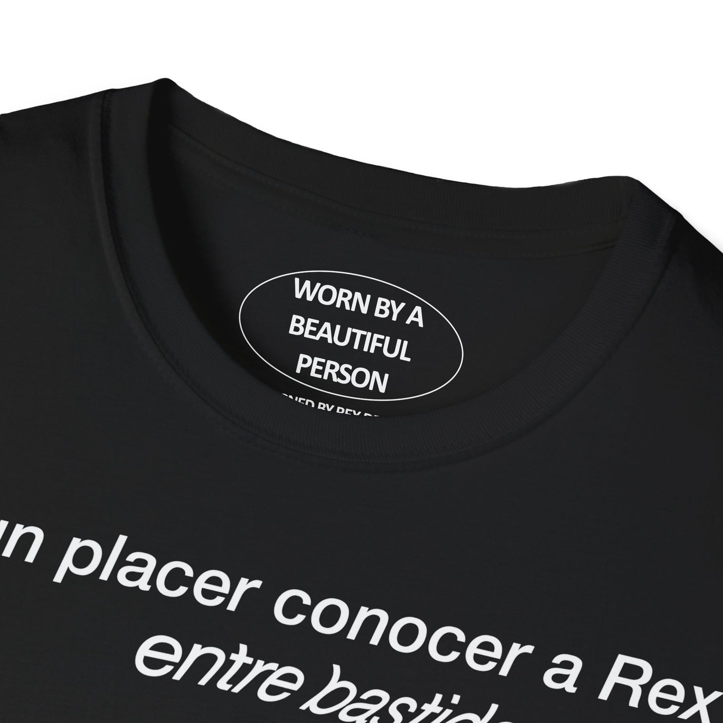 Primavera backstage 2024 - Unisex Softstyle T-Shirt